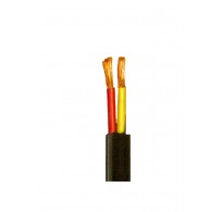 2C X 4.00 SQ.MM MULTICORE FLEXIBLE CABLE 100 MTRS-POLYCAB